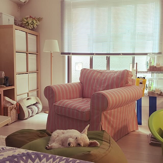 suzyさんの実例写真