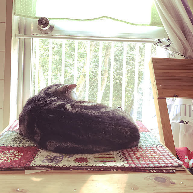 mirurunさんの実例写真
