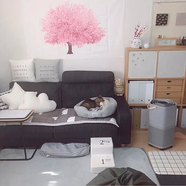 Emiさんの実例写真