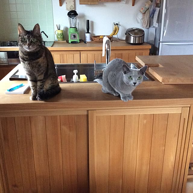 Chieさんの実例写真
