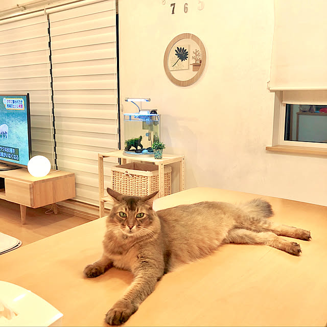 Yumiさんの実例写真