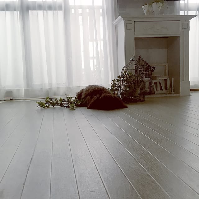 noelさんの実例写真