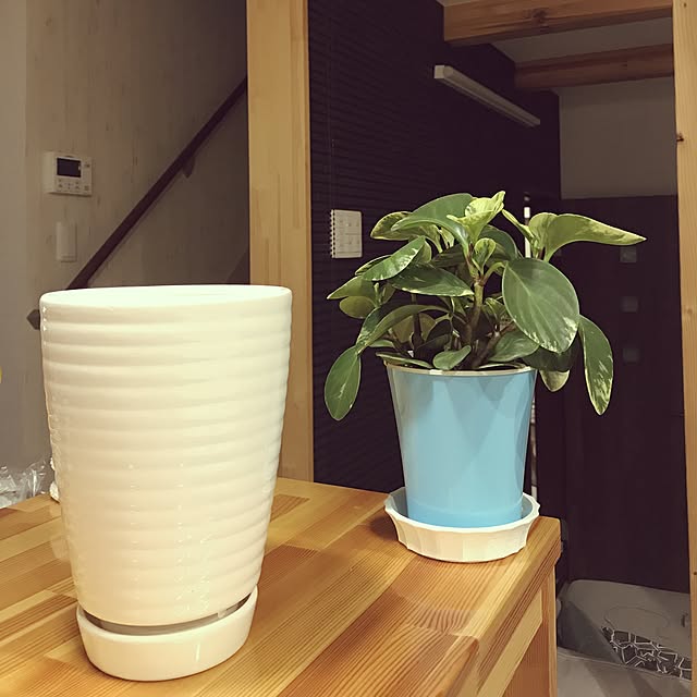 sayさんの実例写真