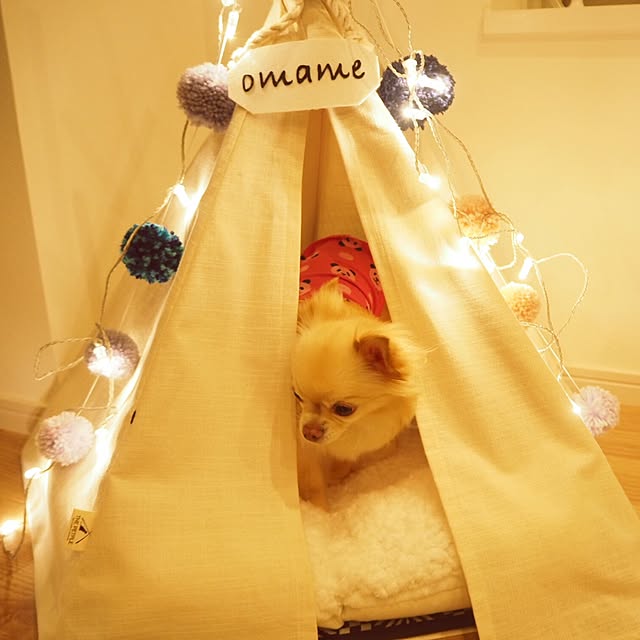 mariさんの実例写真