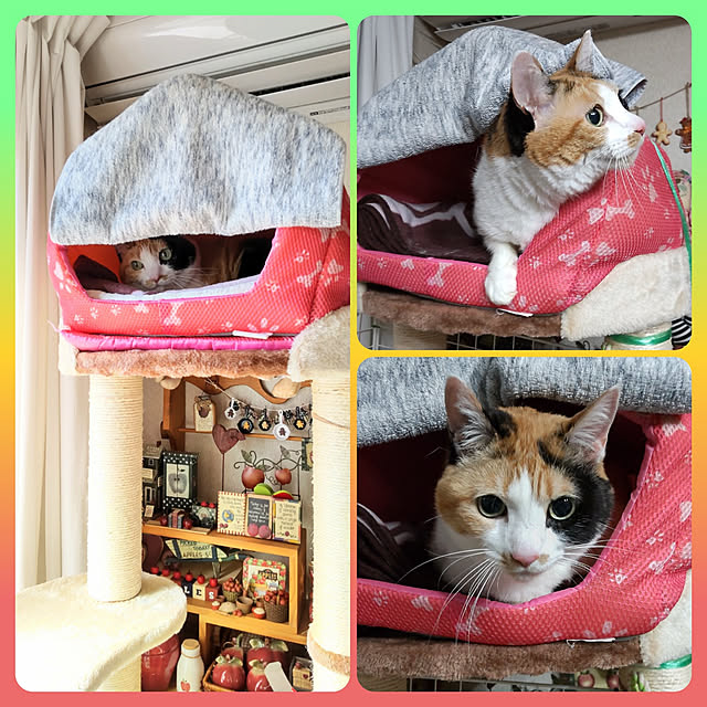 nanaさんの実例写真