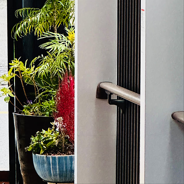 chacoさんの部屋