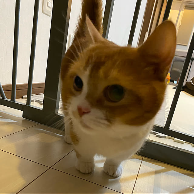 KotarouKunさんの実例写真