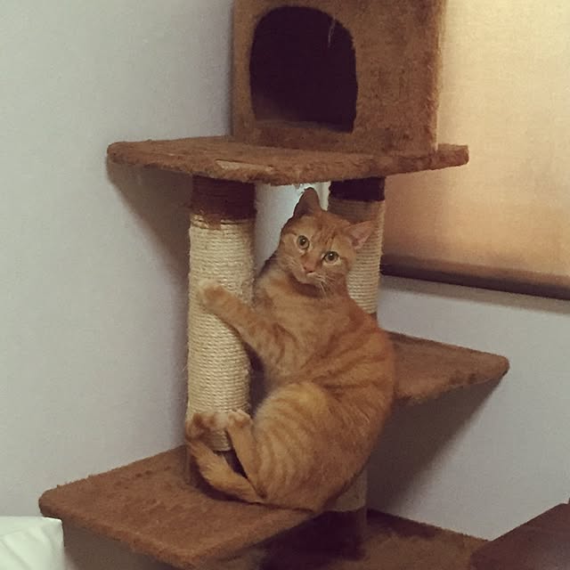 Minamiさんの実例写真