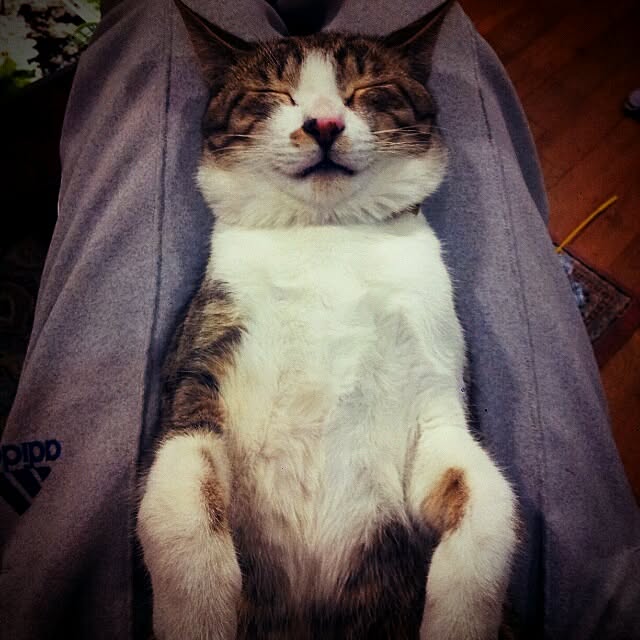 mtu58さんの実例写真