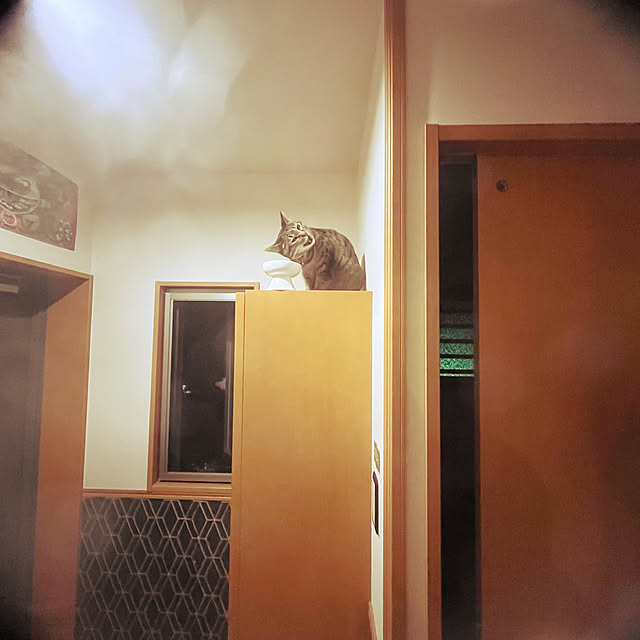 Mさんの部屋