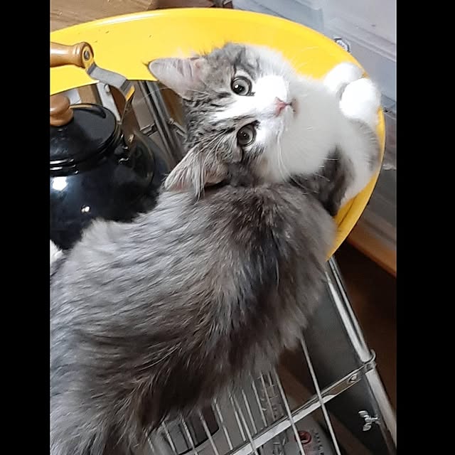 Yさんの実例写真