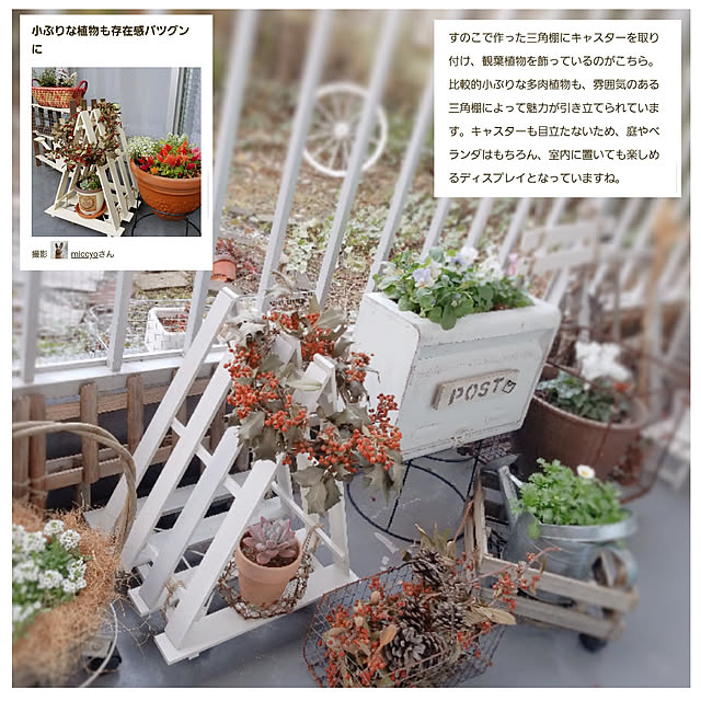 miccyoさんの実例写真