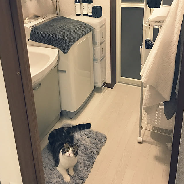 tansukeさんの実例写真