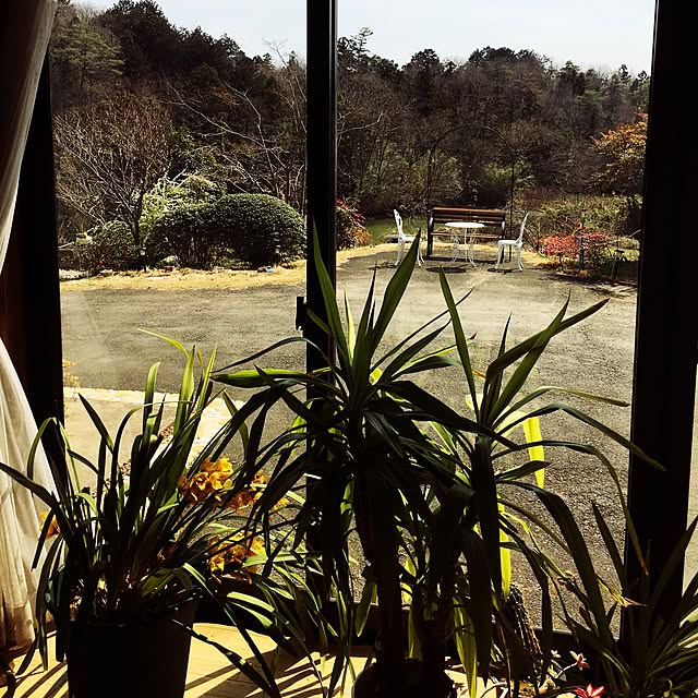 Miyukiさんの実例写真