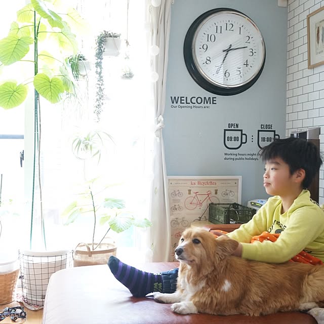 Suさんの実例写真