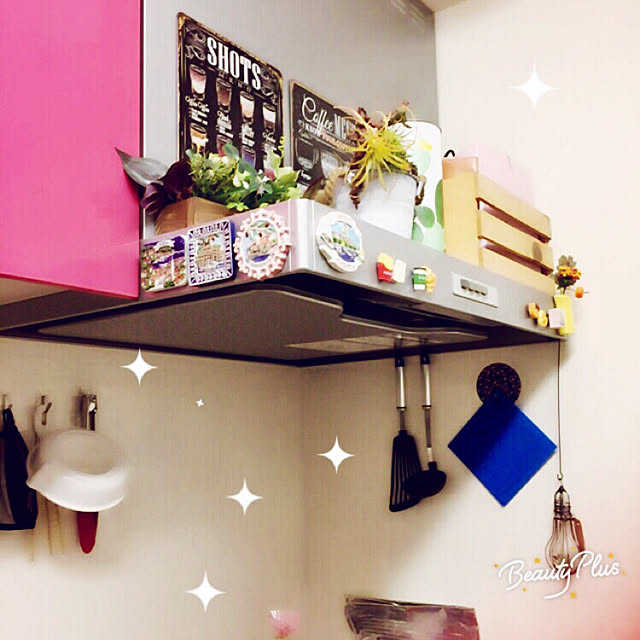 wildswanさんの実例写真