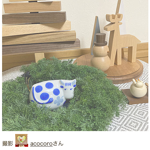 acocoroさんの実例写真