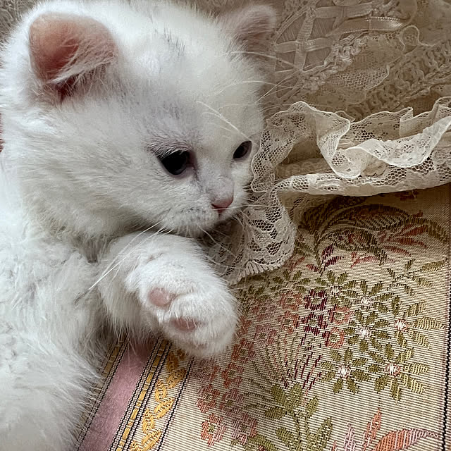 AYUKOさんの実例写真