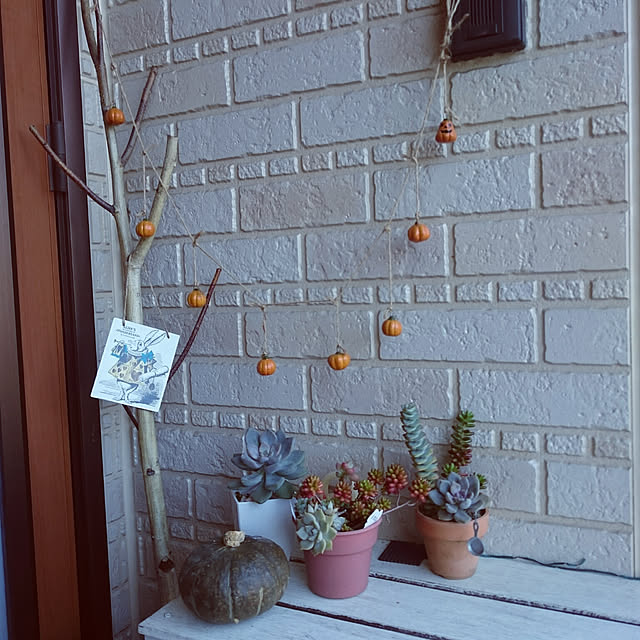 実例写真
