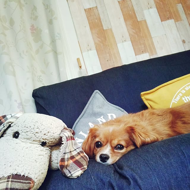 NATTUさんの実例写真