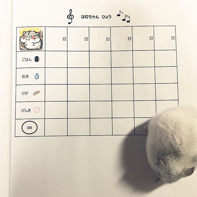 mikaさんの実例写真