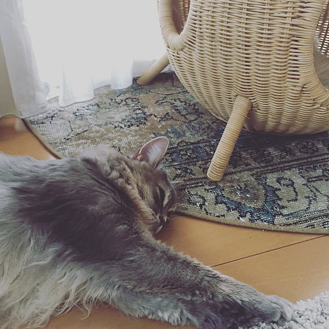 shihoさんの実例写真
