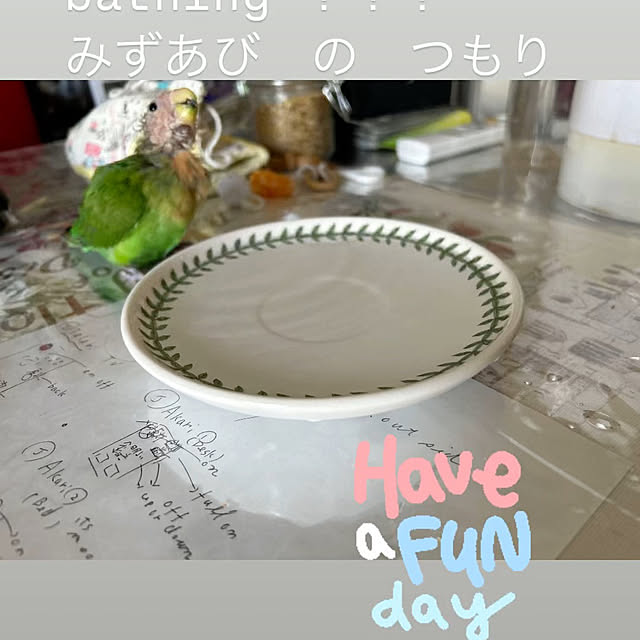 t.and.sakuraさんの実例写真