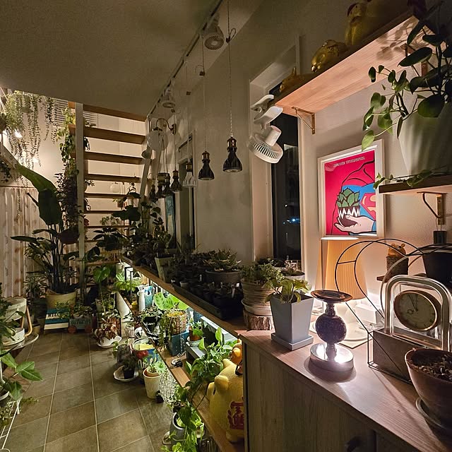 nonbiri_house_さんの部屋