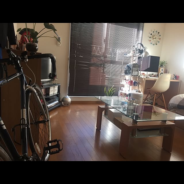 GOCHIUSA-refugeeさんの実例写真