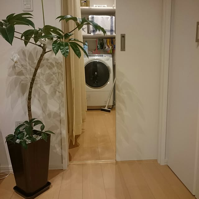 yuinacchiさんの実例写真