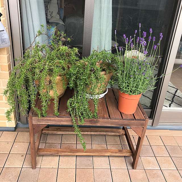 momonaさんの実例写真