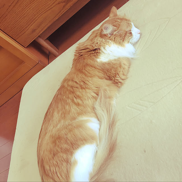 uchidaizuさんの実例写真