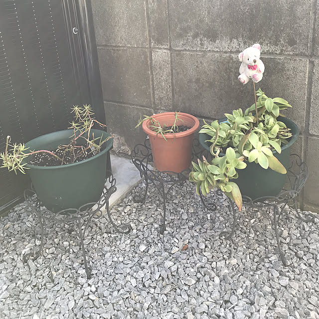 EMIKOさんの実例写真