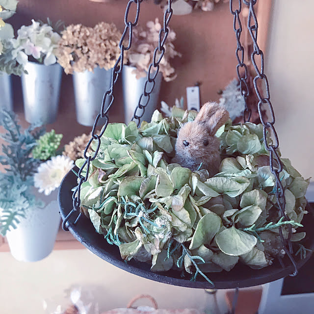 portulacaさんの実例写真