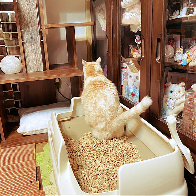 ike2910さんの部屋
