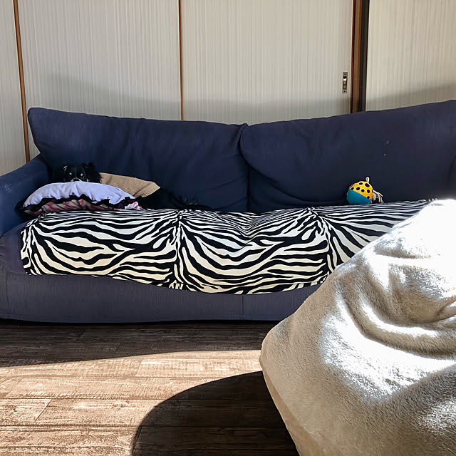 rikoto.mtさんの部屋