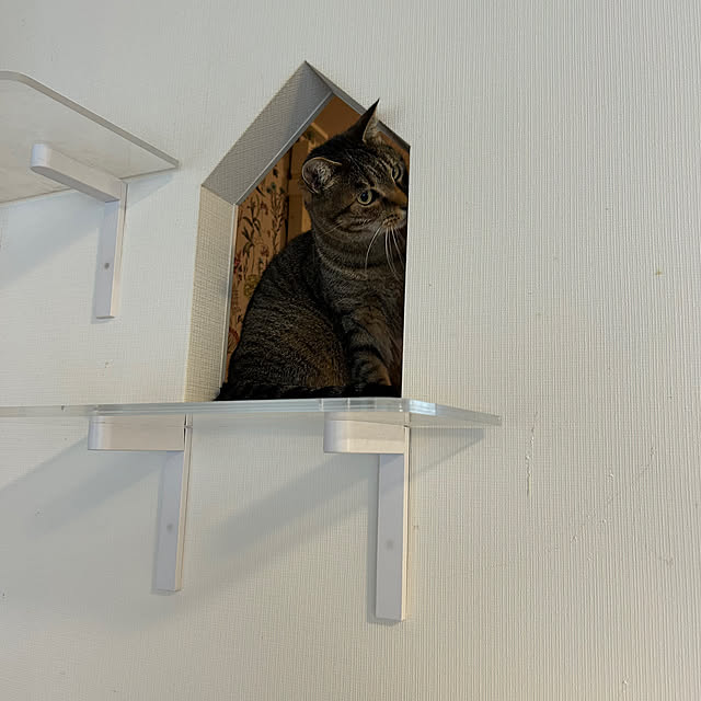 mikomaruさんの実例写真