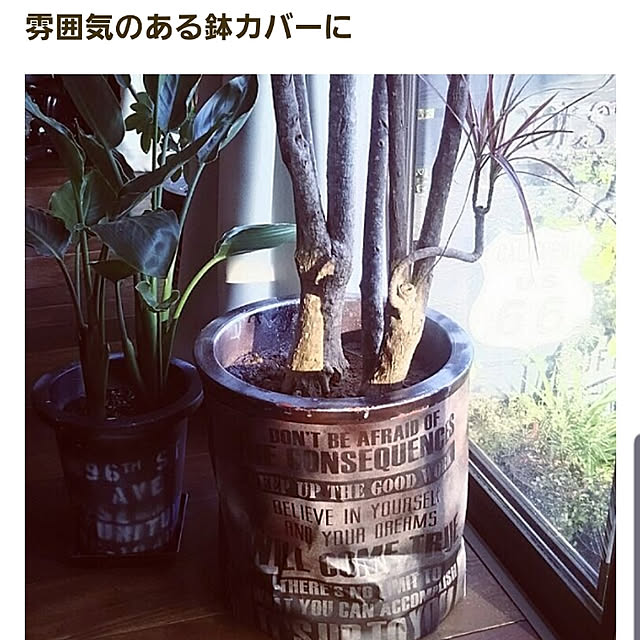 reksさんの実例写真