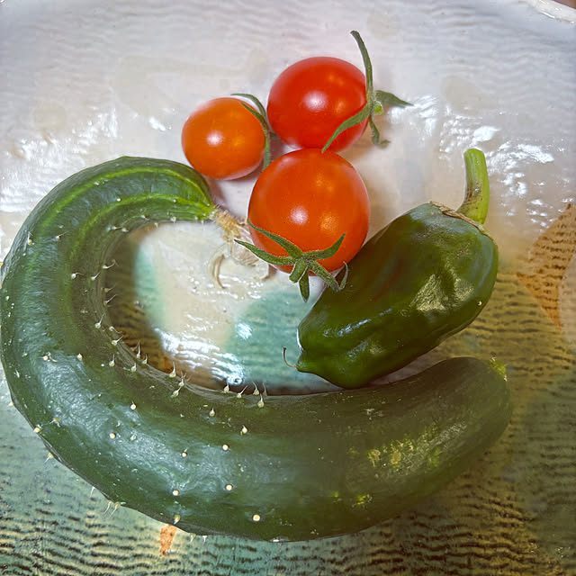 saorinさんの部屋