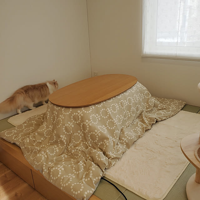 annyaさんの実例写真