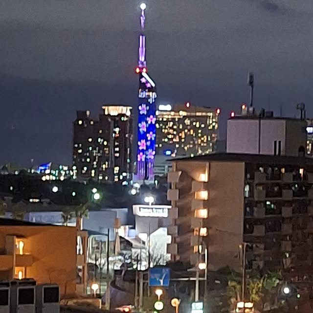 hakata-baさんの部屋