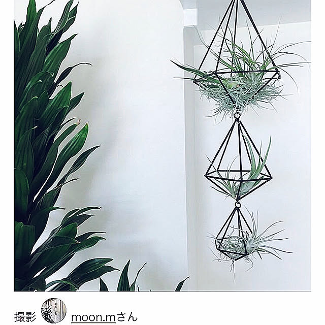 moon.mさんの実例写真