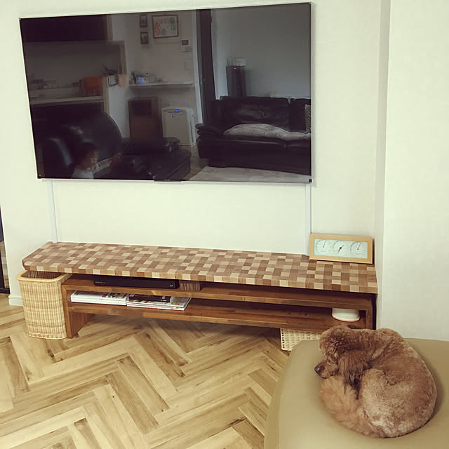 実例写真