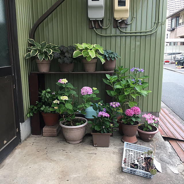 sasaさんの実例写真