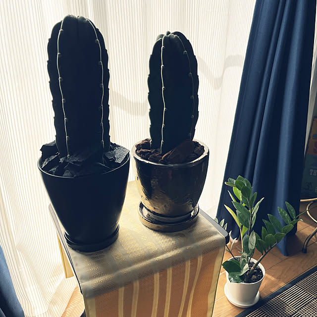 raiannさんの実例写真