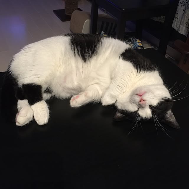 neuruさんの実例写真