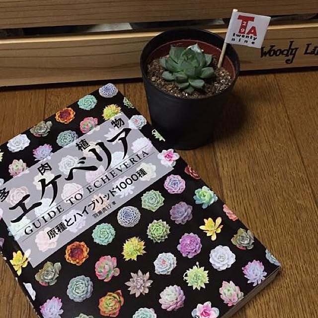 tomo26さんの実例写真