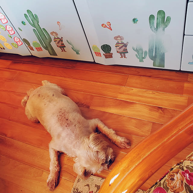 kumutanさんの実例写真