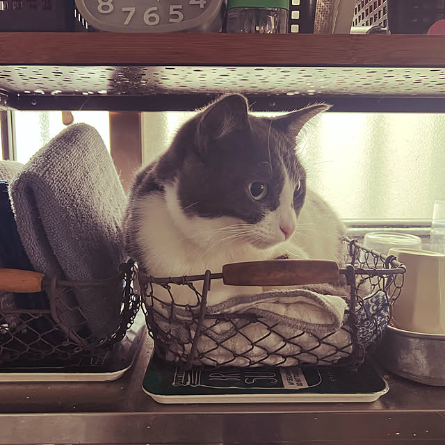 RUNRUNさんの実例写真