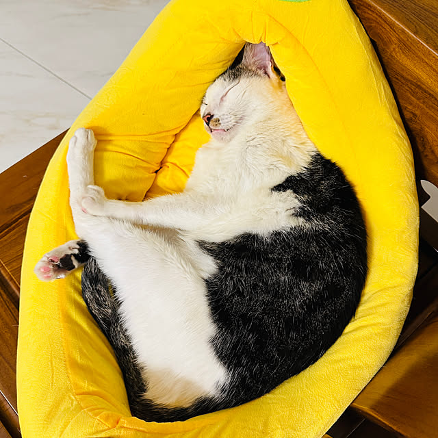 pcu110さんの部屋